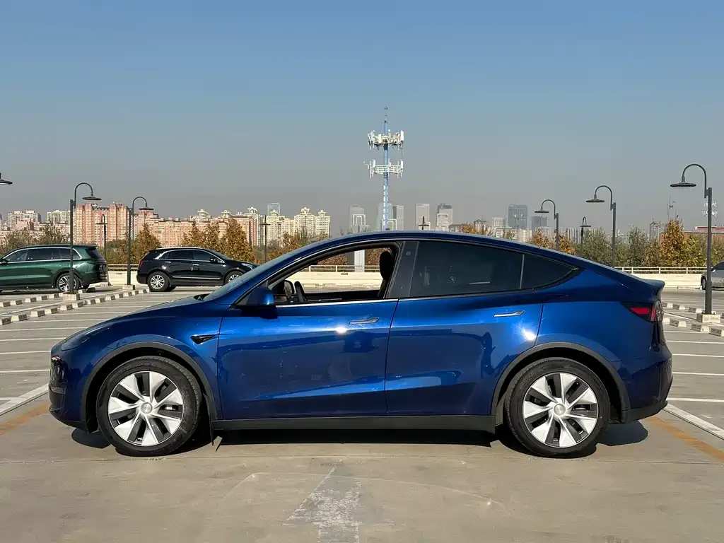 Tesla Model Y 2021 из CN, фото 4