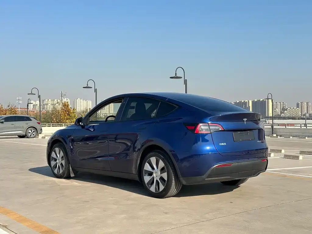 Tesla Model Y 2021 из CN, фото 5