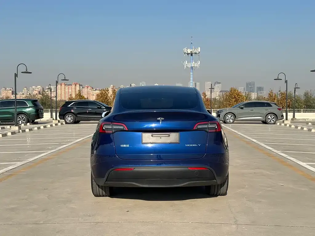 Tesla Model Y 2021 из CN, фото 6