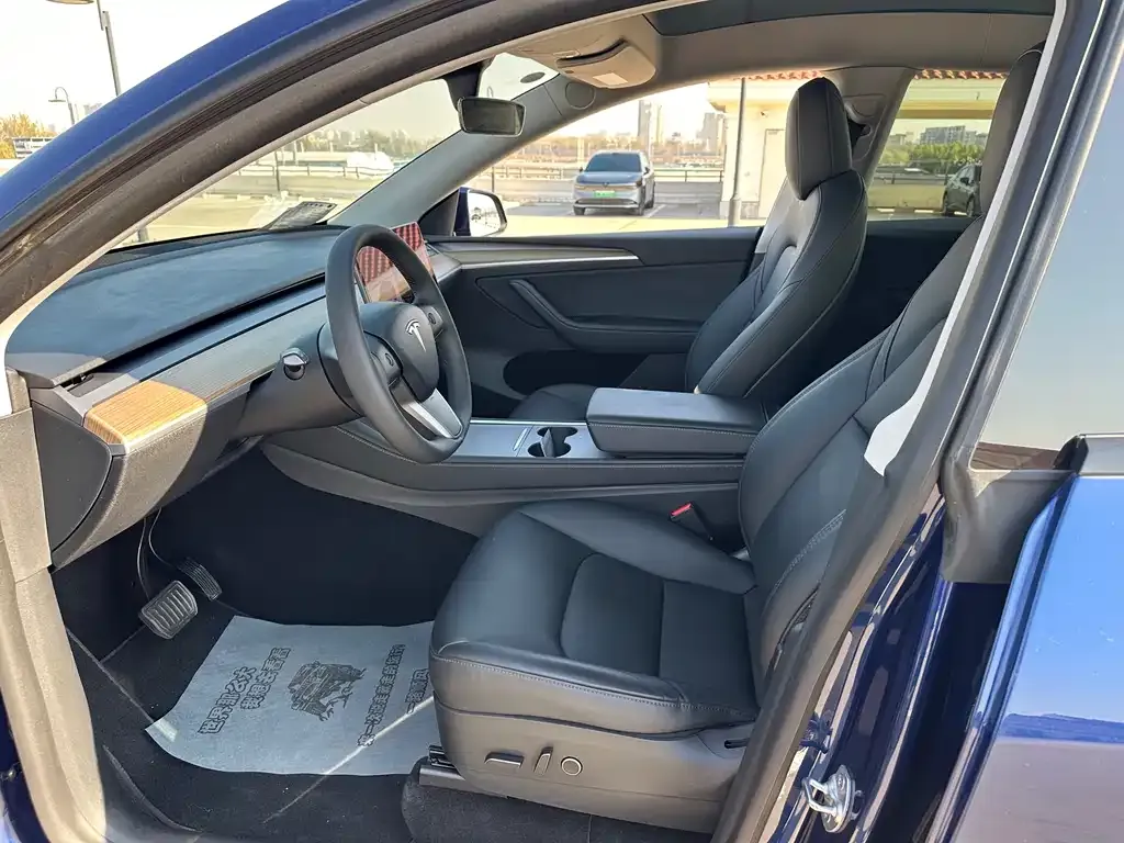 Tesla Model Y 2021 из CN, фото 7