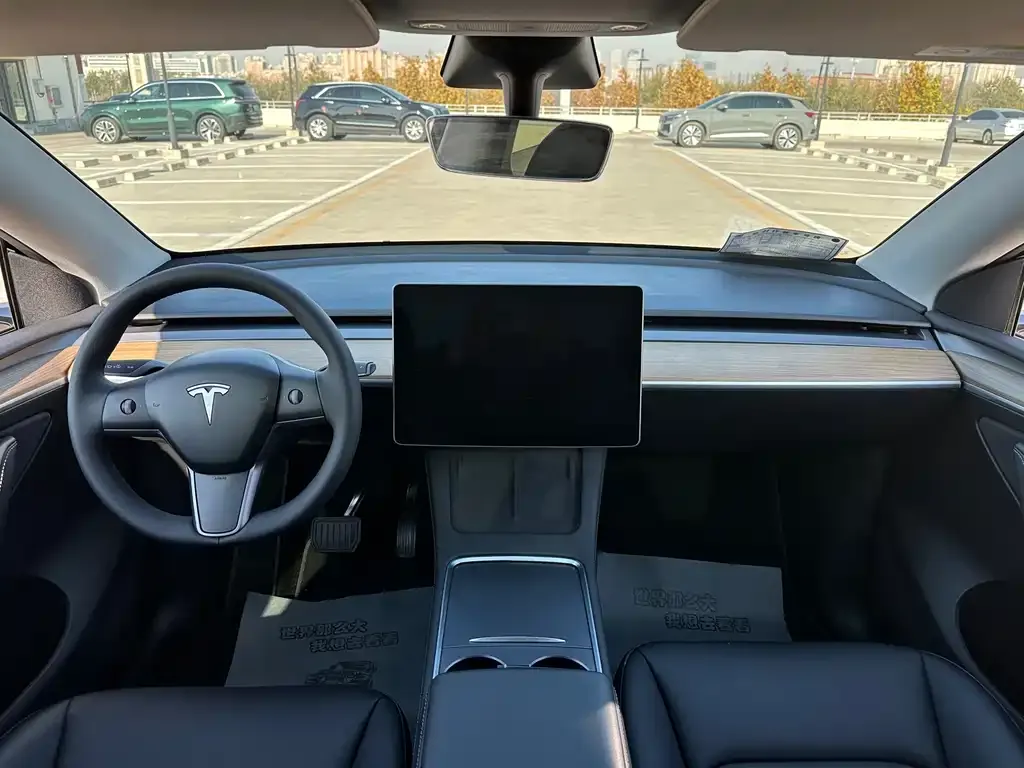 Tesla Model Y 2021 из CN, фото 9