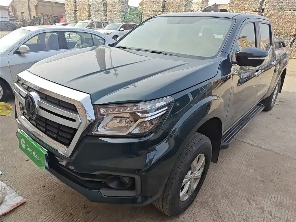 Dongfeng Rich 6 2022 из CN, фото 1