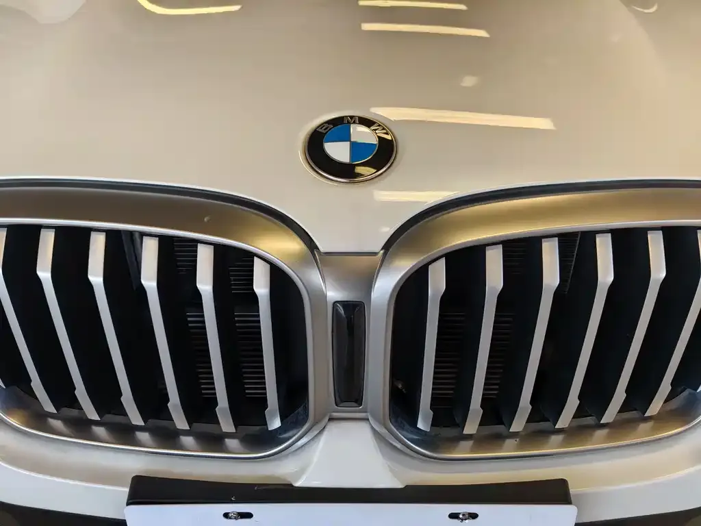 BMW X3 2022 из CN, фото 5