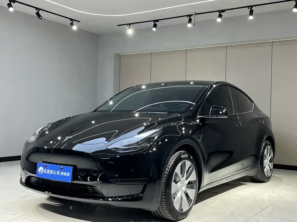 Tesla Model Y 2023 из CN, фото 2