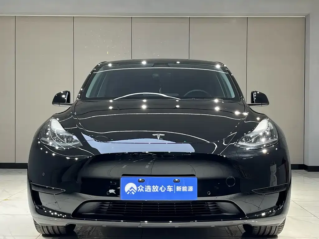 Tesla Model Y 2023 из CN, фото 3