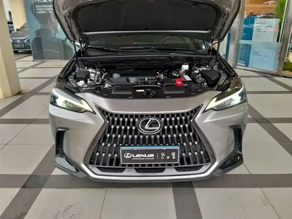 Lexus NX 2023 из CN, фото 3