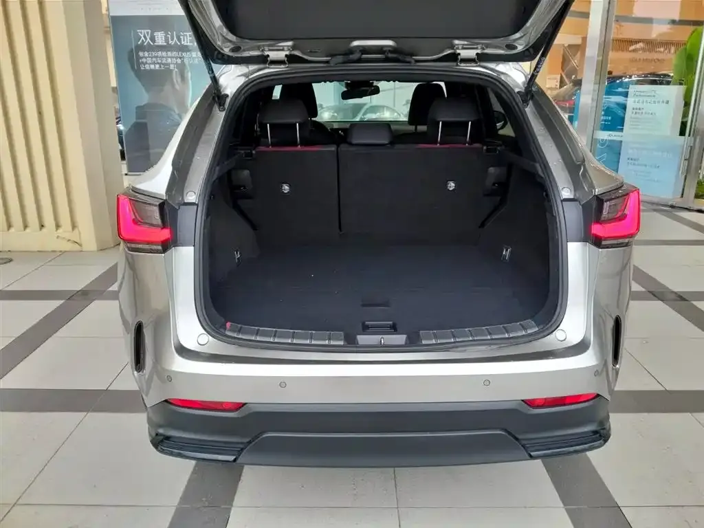 Lexus NX 2023 из CN, фото 6