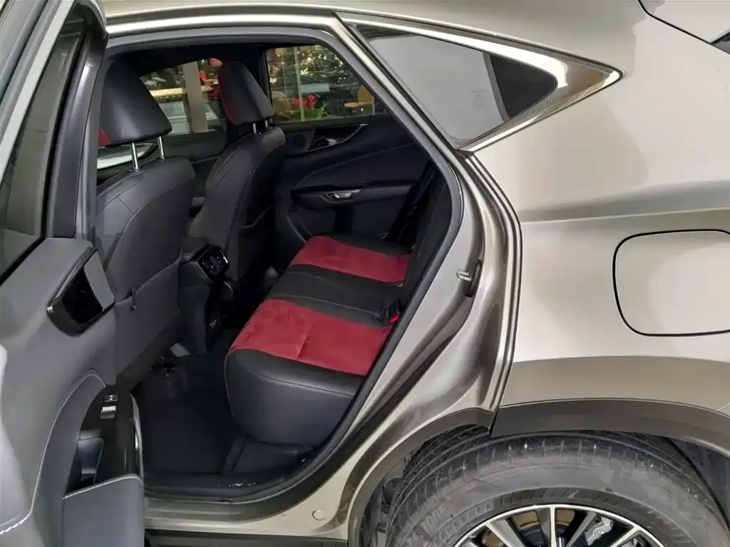 Lexus NX 2023 из CN, фото 7