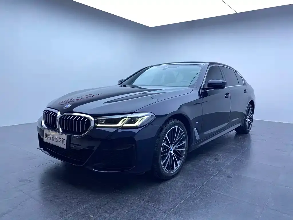 BMW 5 Series 2023 из CN, фото 1