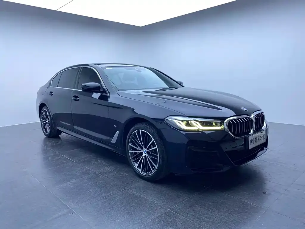 BMW 5 Series 2023 из CN, фото 2