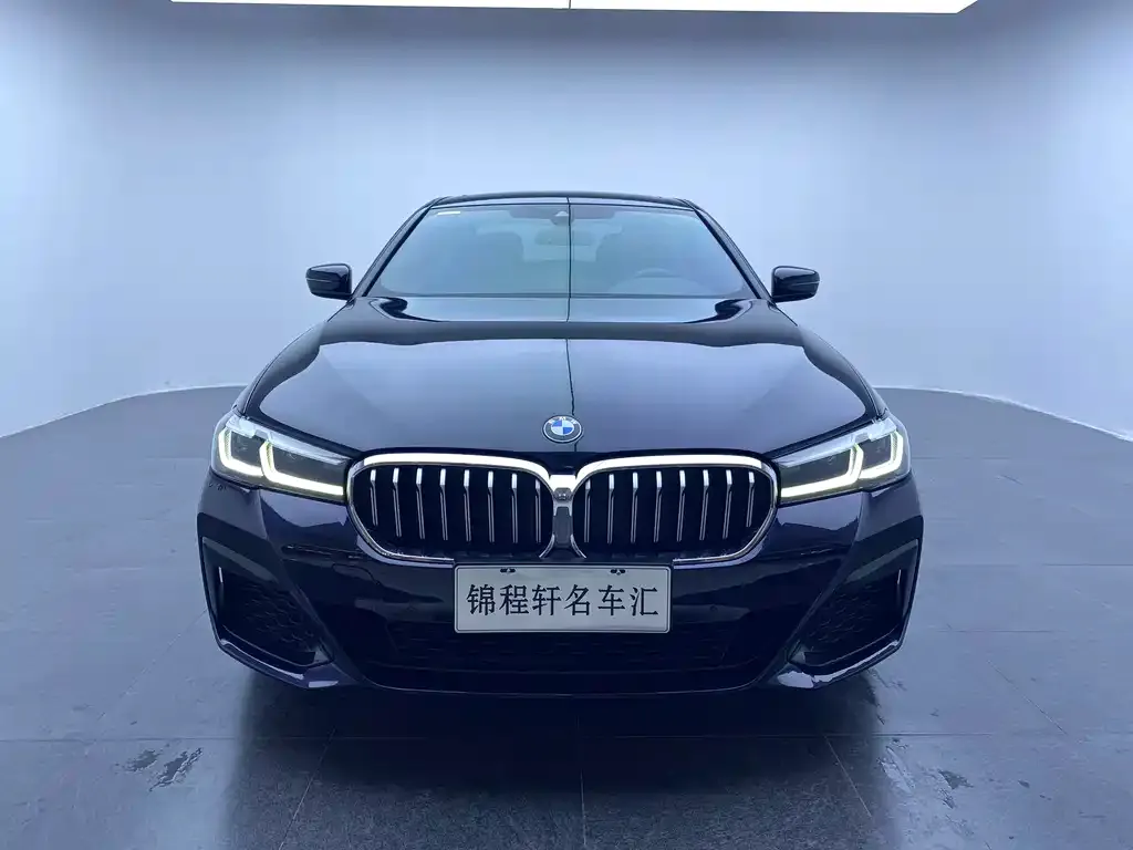 BMW 5 Series 2023 из CN, фото 3