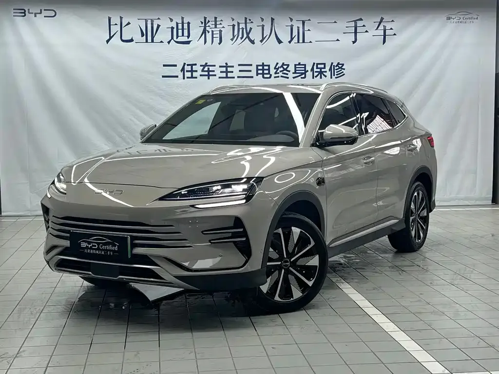 BYD PLUS New Energy 2025 из CN, фото 1