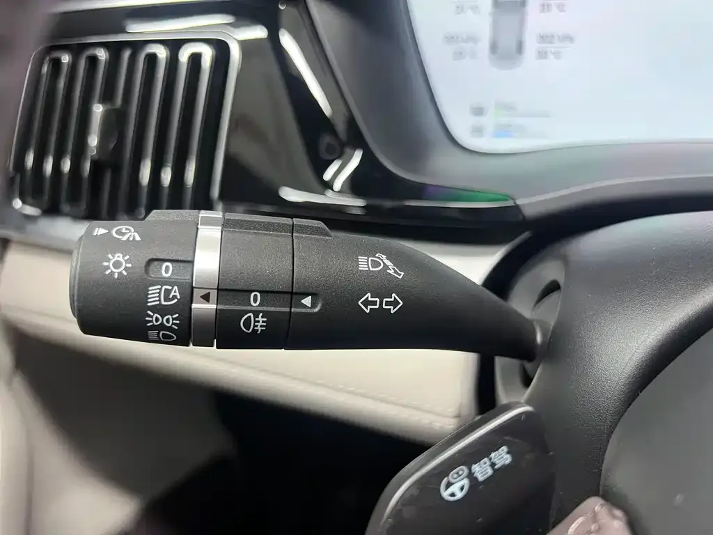 BYD PLUS New Energy 2025 из CN, фото 10