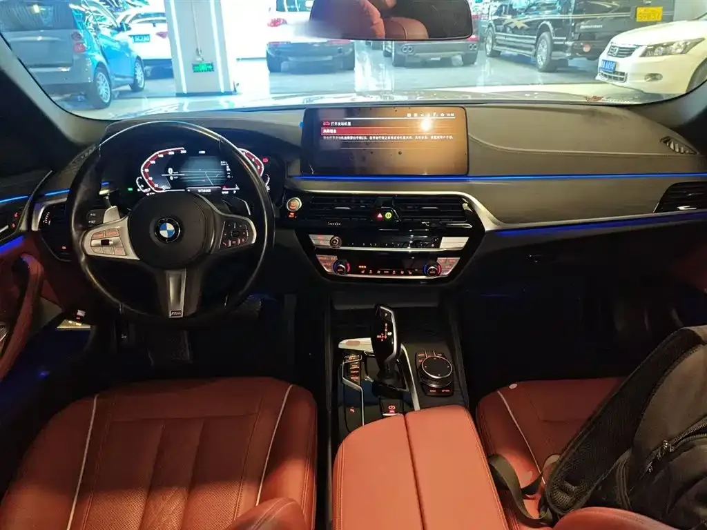 BMW 5 Series 2023 из CN, фото 10