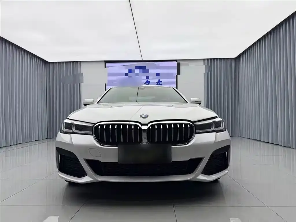 BMW 5 Series 2023 из CN, фото 3