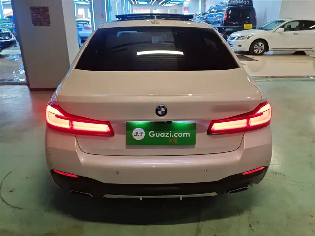 BMW 5 Series 2023 из CN, фото 6