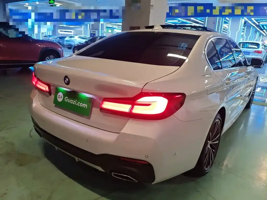 BMW 5 Series 2023 из CN, фото 7