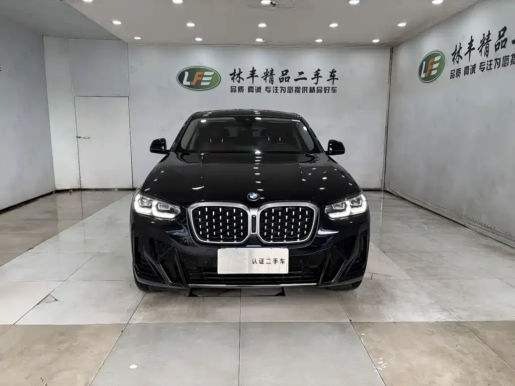 BMW X4 2024 из CN, фото 3