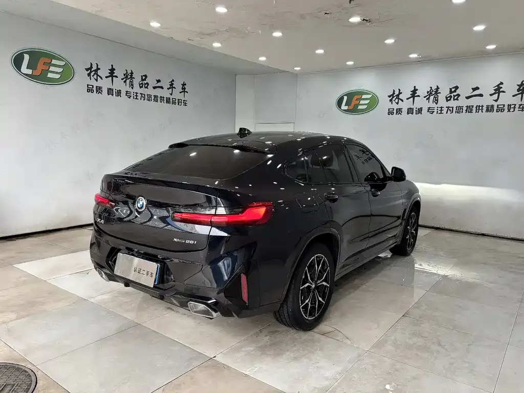 BMW X4 2024 из CN, фото 6