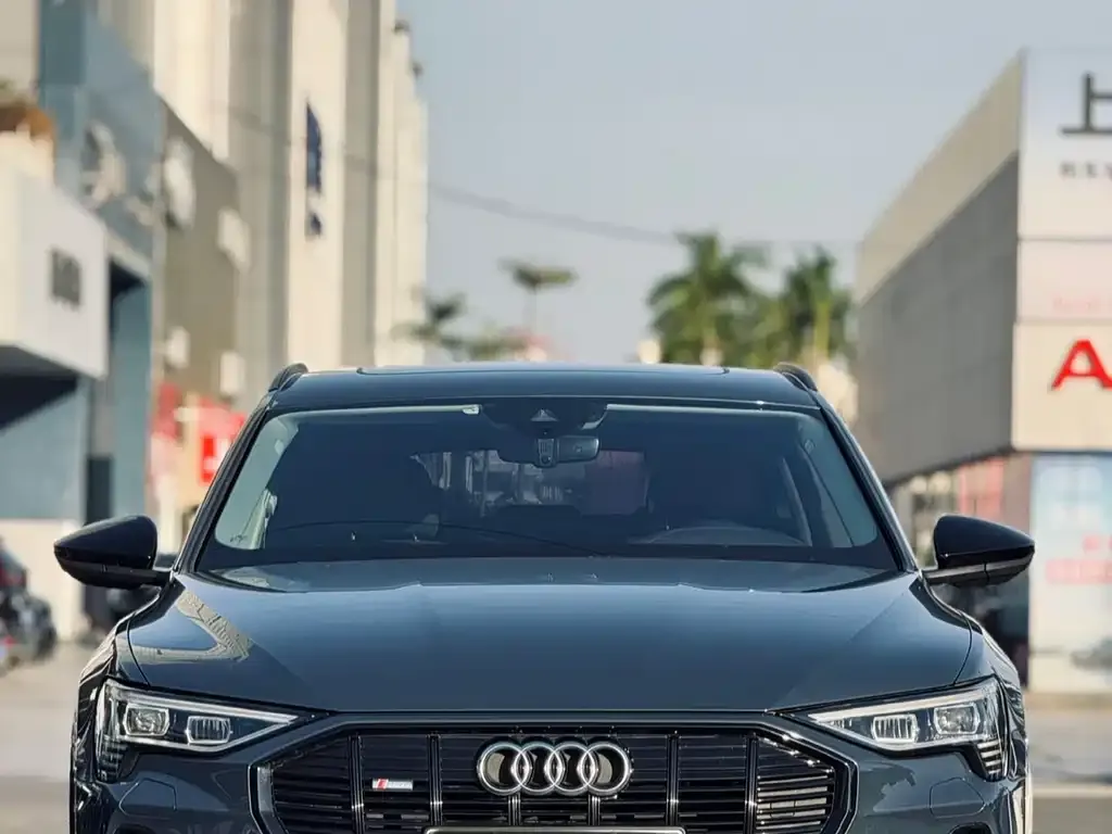 Audi e-tron (Import) 2022 из CN, фото 2