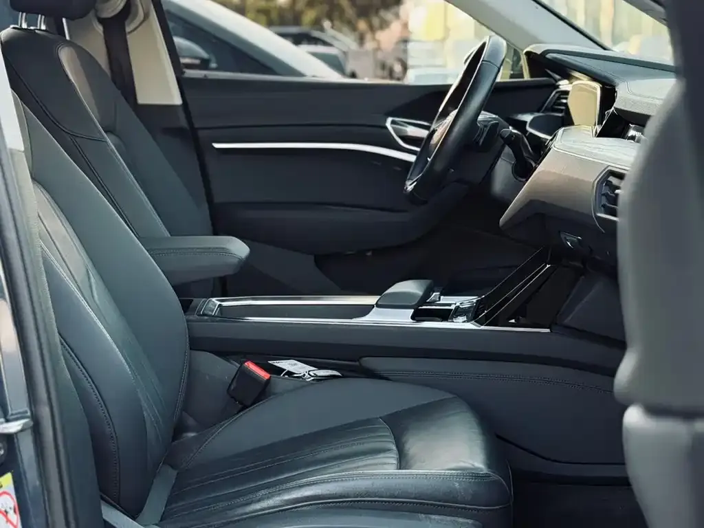 Audi e-tron (Import) 2022 из CN, фото 3
