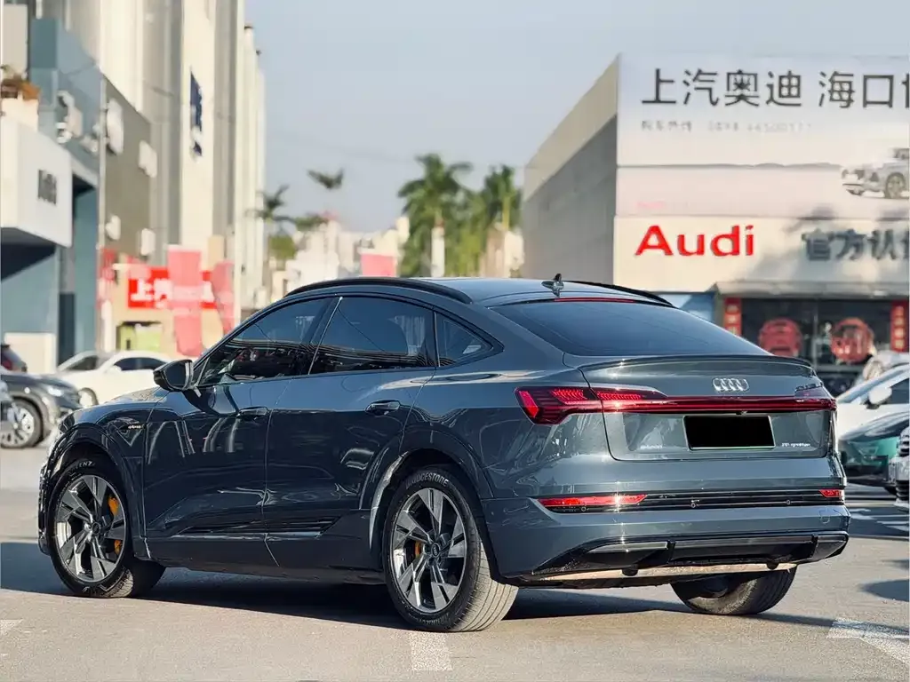 Audi e-tron (Import) 2022 из CN, фото 6