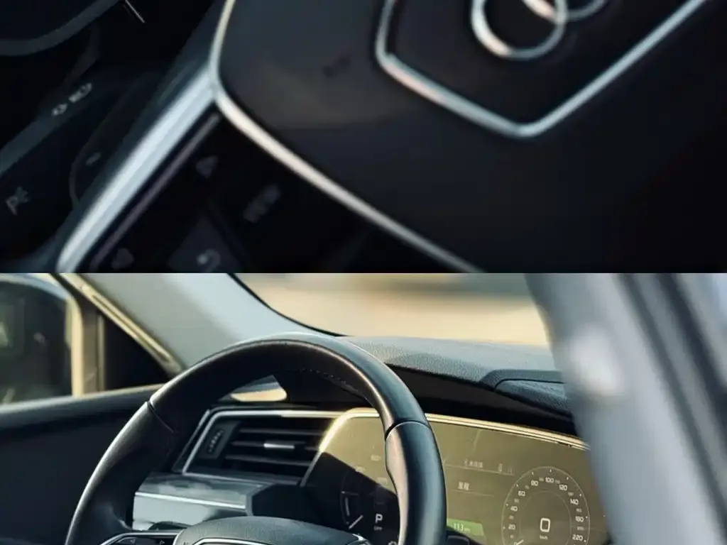 Audi e-tron (Import) 2022 из CN, фото 9
