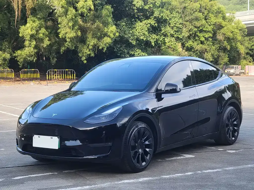 Tesla Model Y 2021 из CN, фото 1