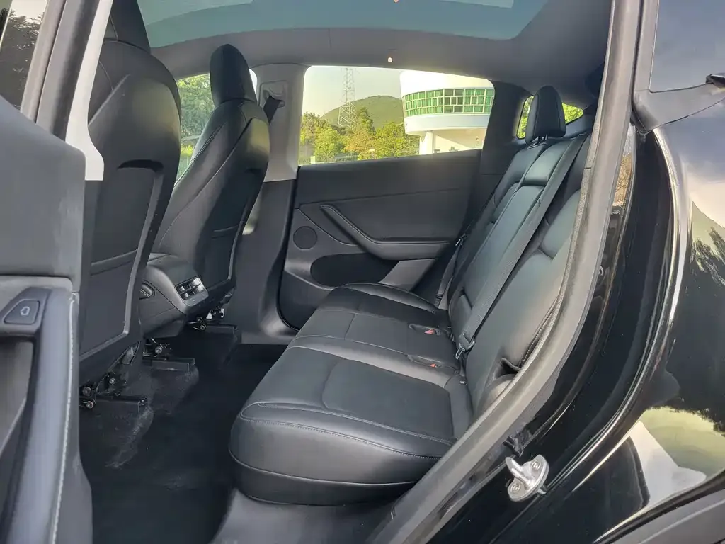 Tesla Model Y 2021 из CN, фото 10
