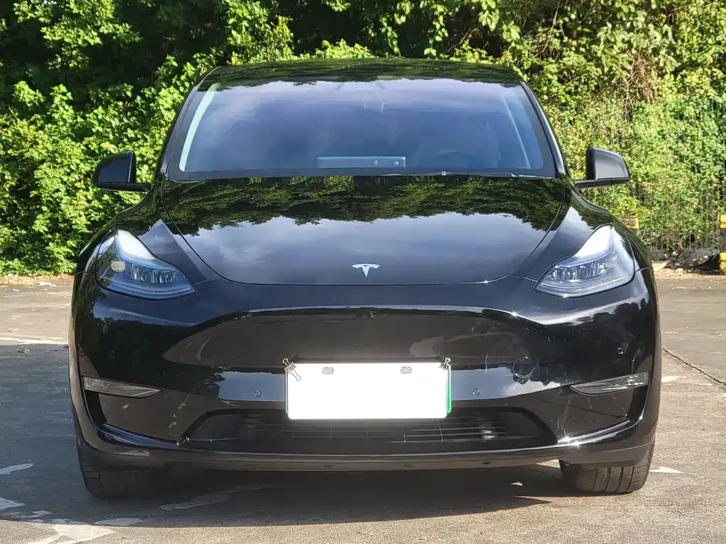 Tesla Model Y 2021 из CN, фото 2
