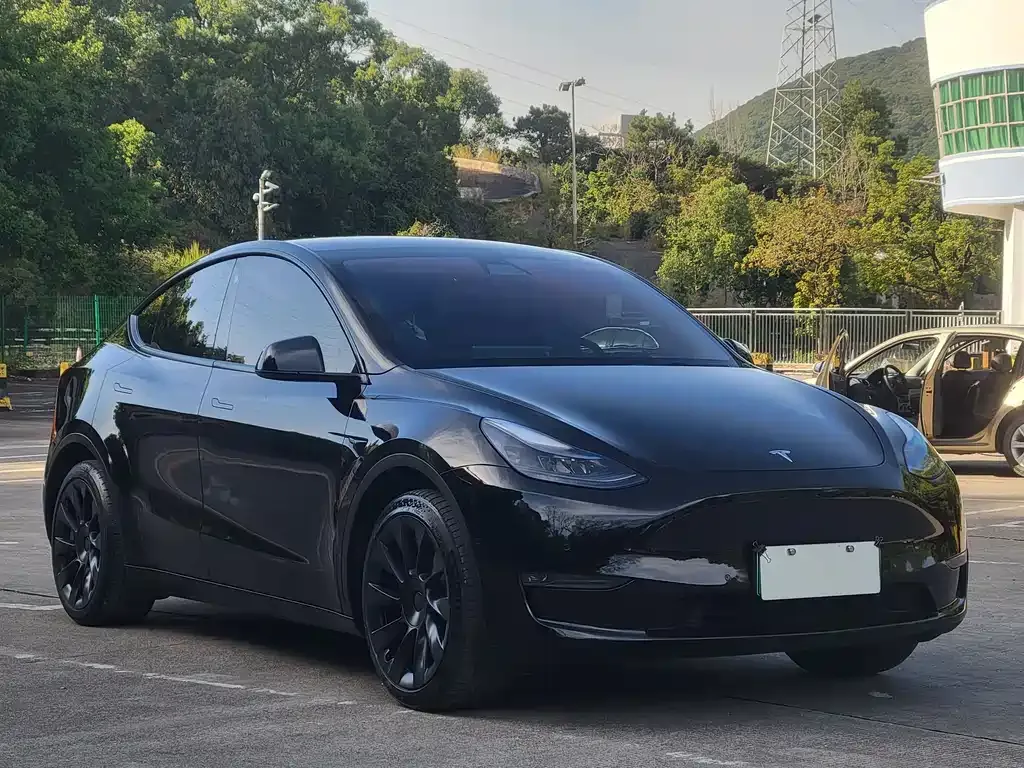 Tesla Model Y 2021 из CN, фото 3