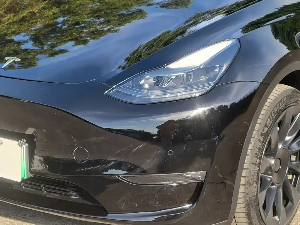 Tesla Model Y 2021 из CN, фото 4