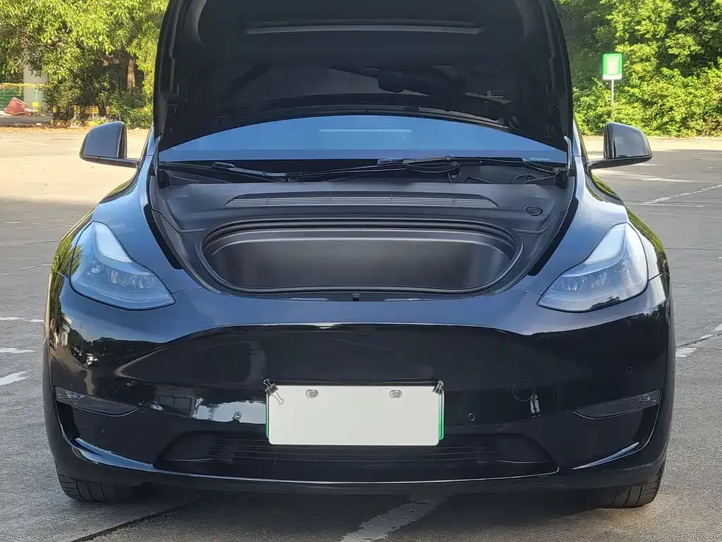 Tesla Model Y 2021 из CN, фото 5