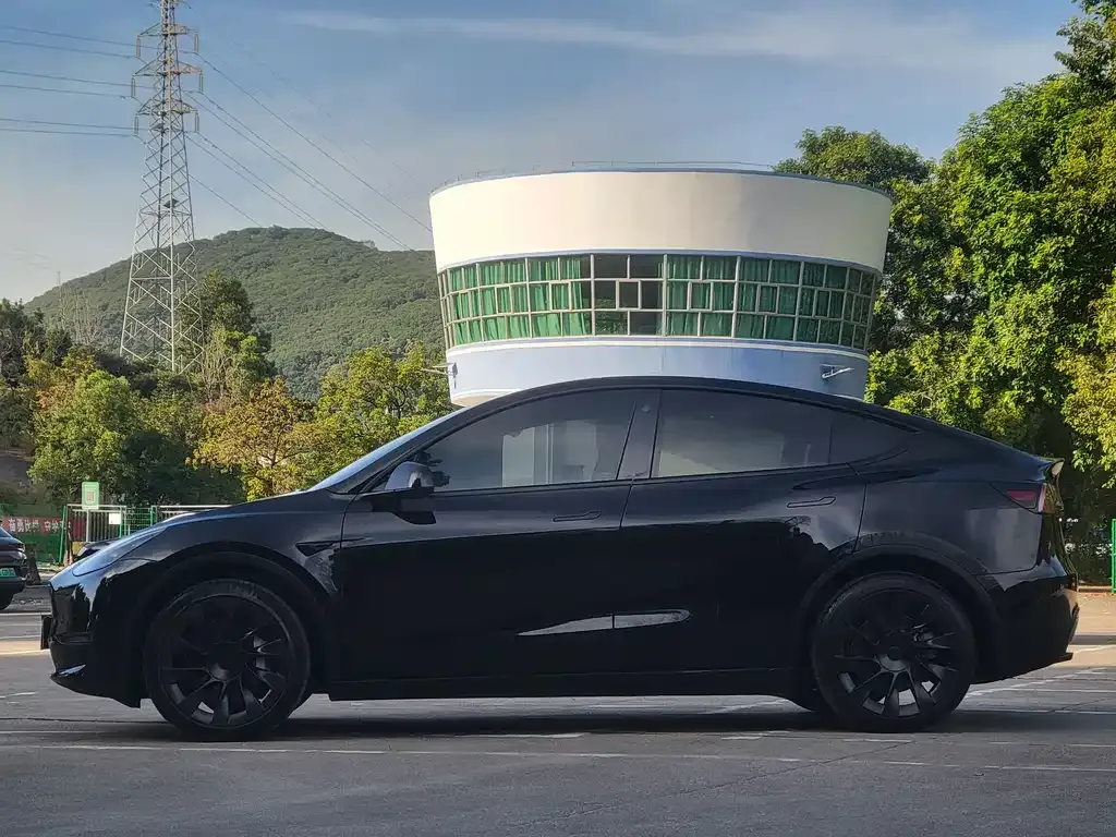 Tesla Model Y 2021 из CN, фото 7
