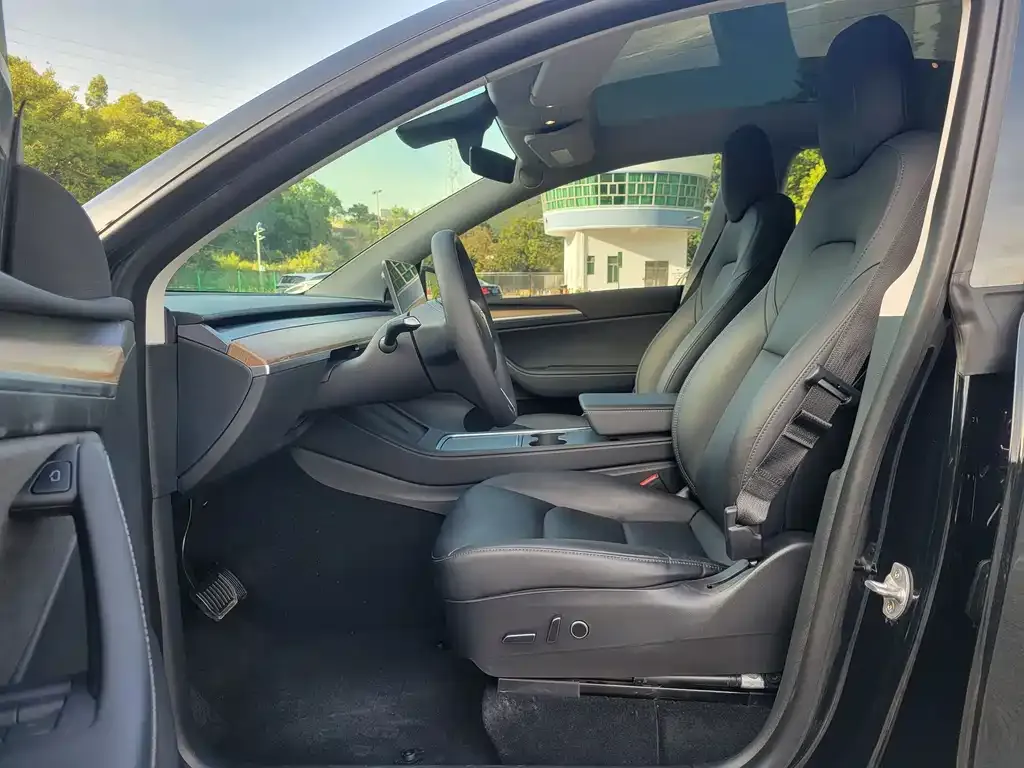 Tesla Model Y 2021 из CN, фото 9