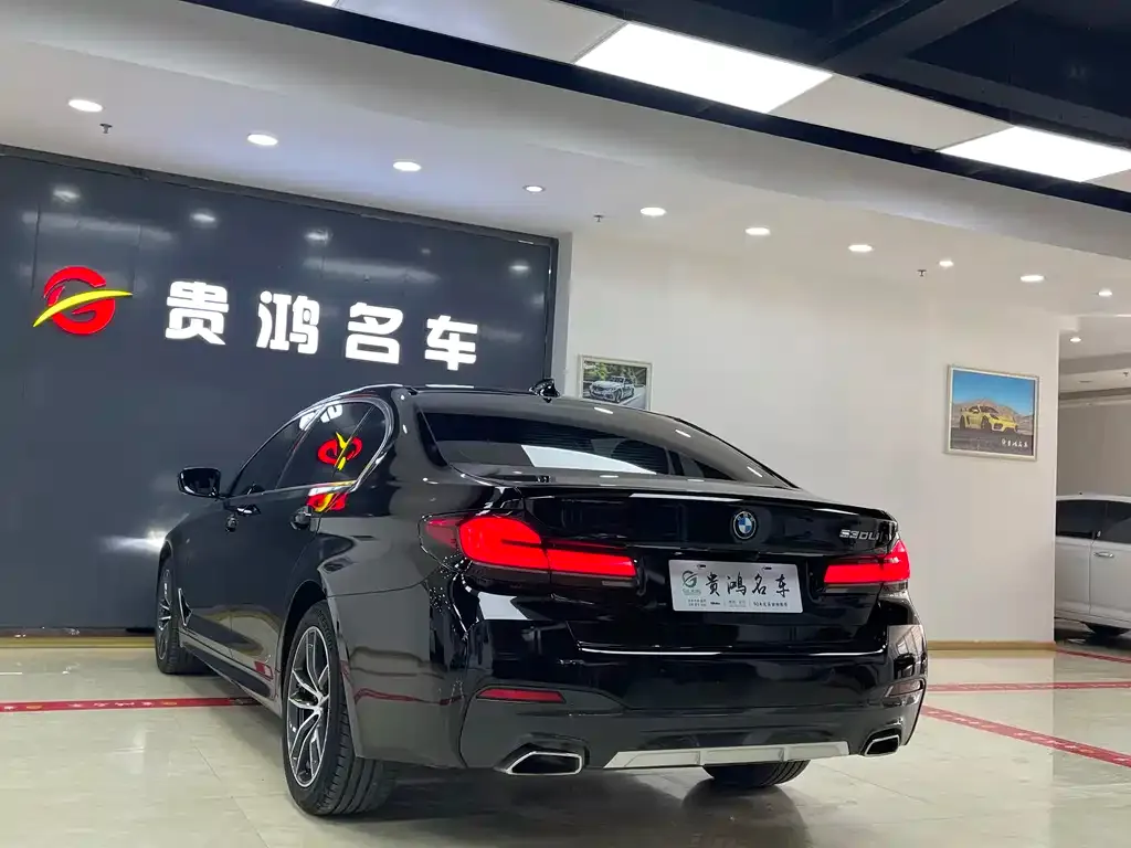 BMW 5 Series 2023 из CN, фото 8