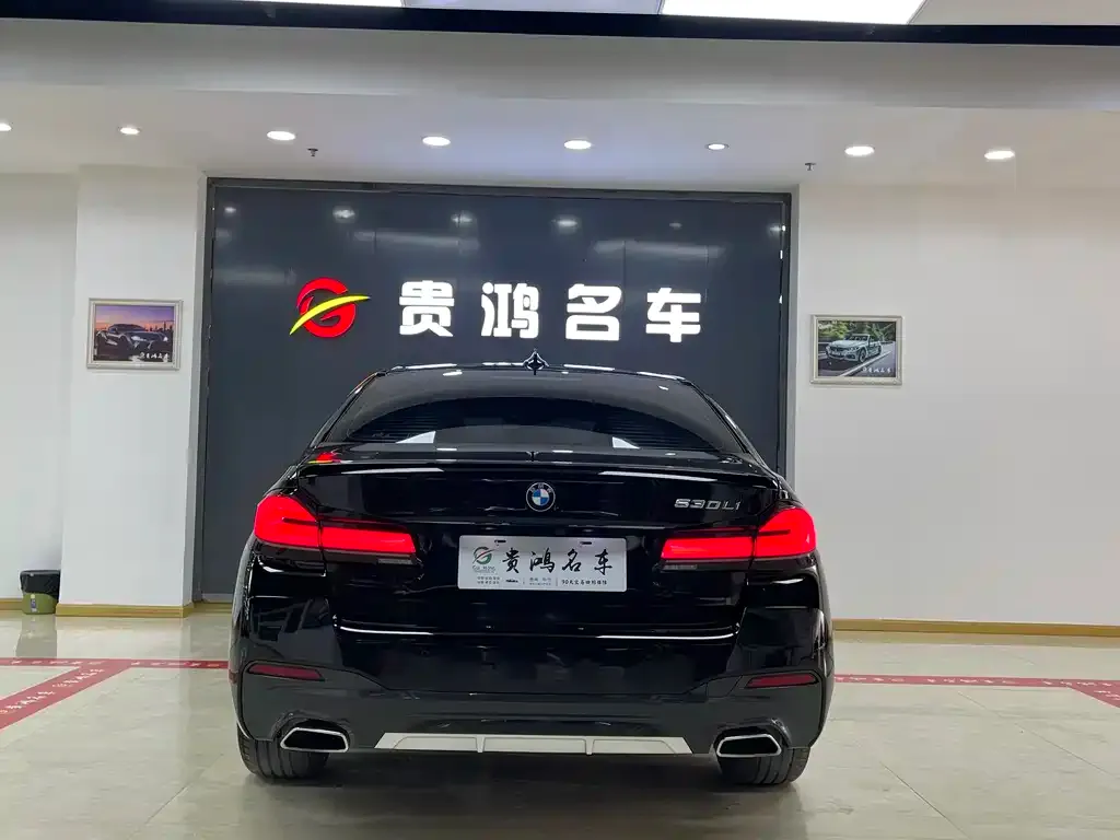 BMW 5 Series 2023 из CN, фото 9