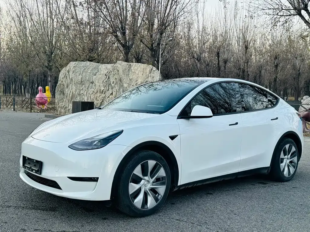 Tesla Model Y 2021 из CN, фото 1