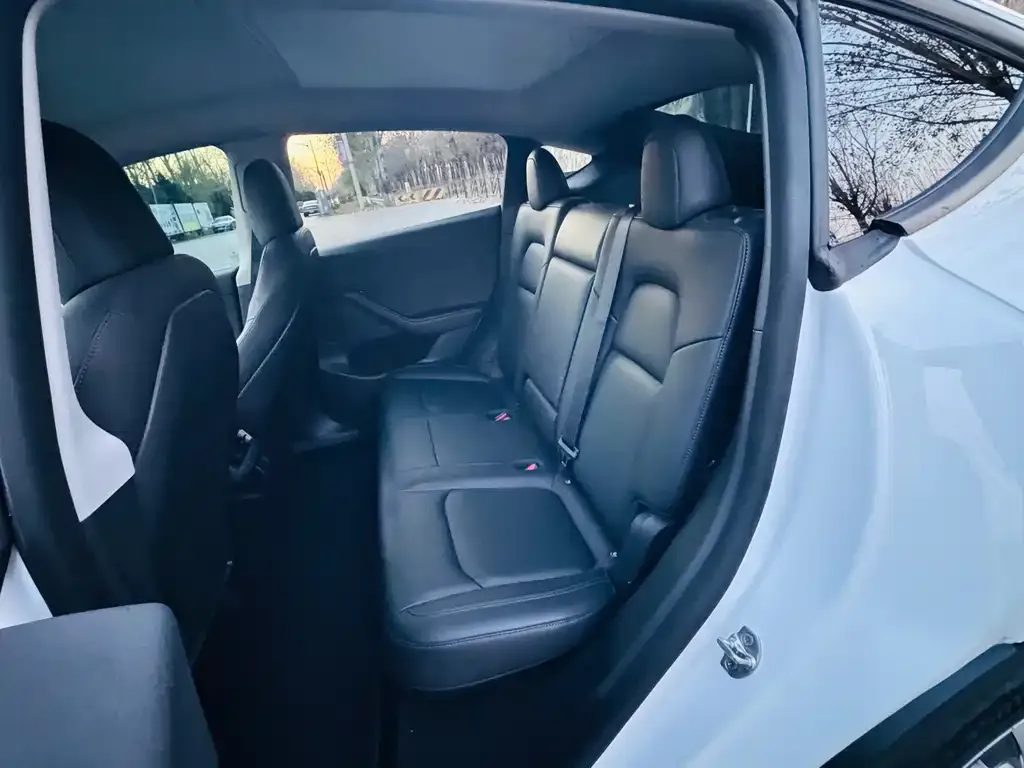 Tesla Model Y 2021 из CN, фото 10