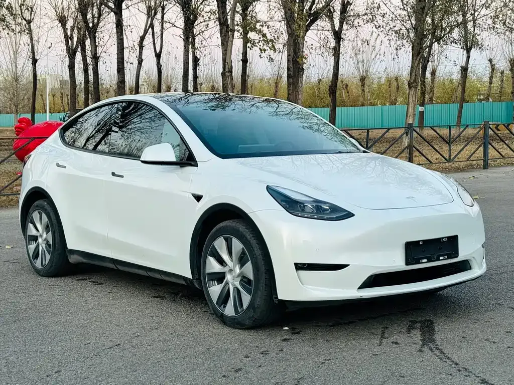 Tesla Model Y 2021 из CN, фото 2