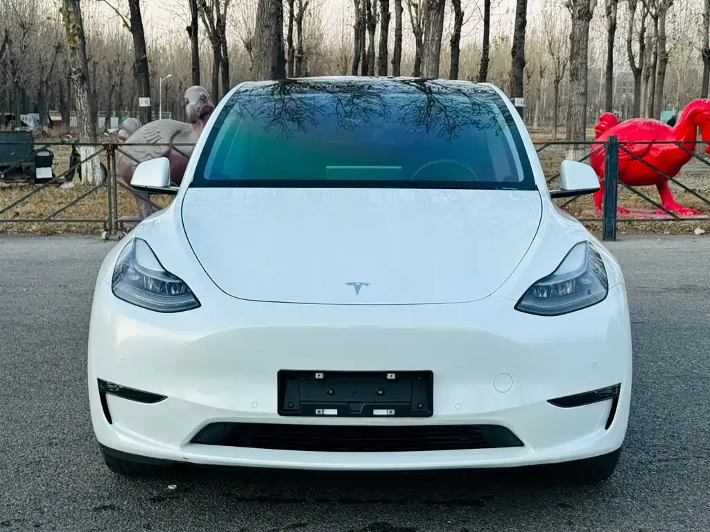 Tesla Model Y 2021 из CN, фото 3