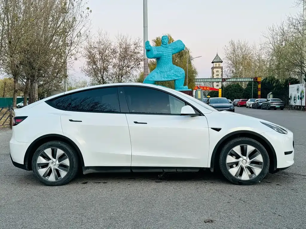 Tesla Model Y 2021 из CN, фото 4
