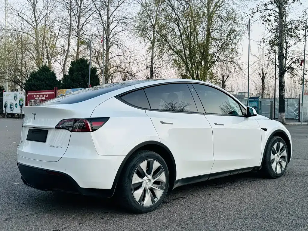 Tesla Model Y 2021 из CN, фото 5