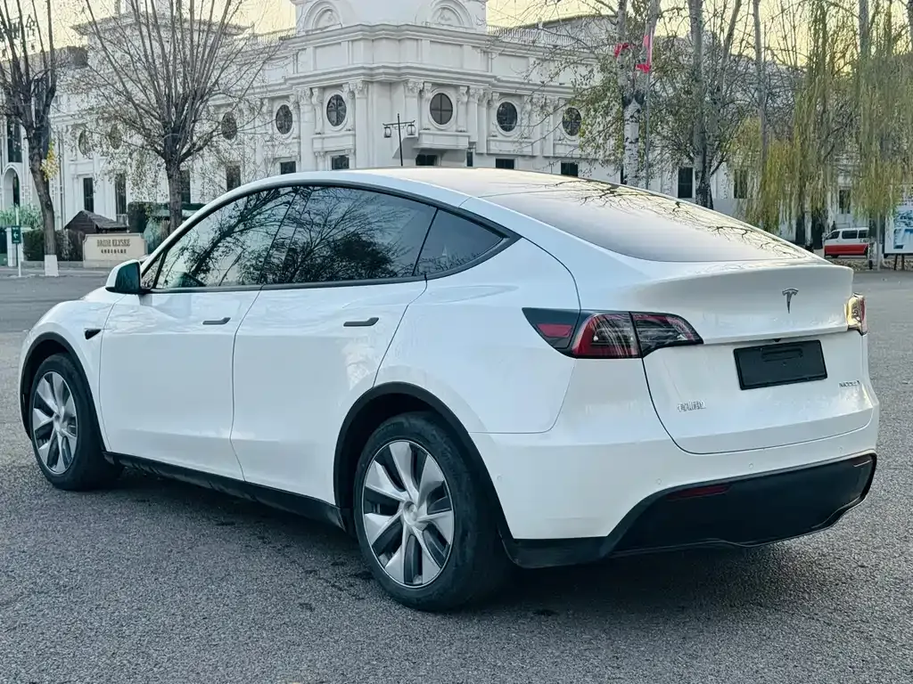 Tesla Model Y 2021 из CN, фото 6