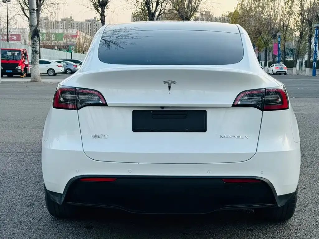 Tesla Model Y 2021 из CN, фото 7
