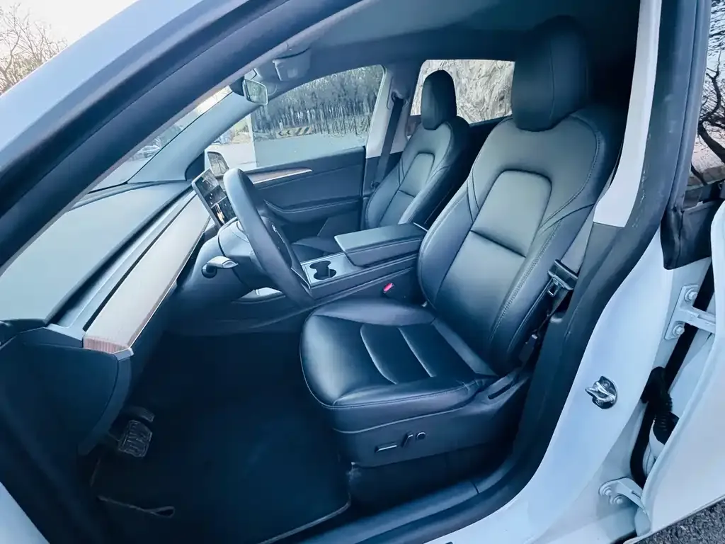 Tesla Model Y 2021 из CN, фото 8