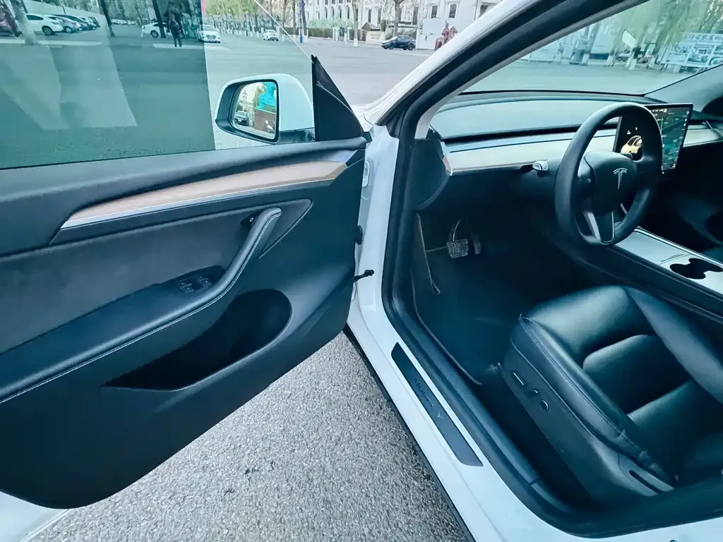 Tesla Model Y 2021 из CN, фото 9