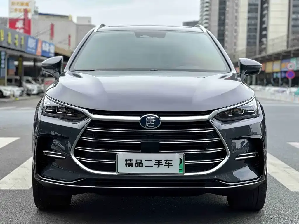 BYD Tang New Energy 2024 из CN, фото 1