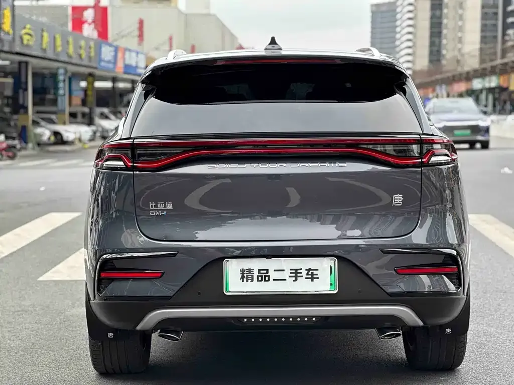 BYD Tang New Energy 2024 из CN, фото 2