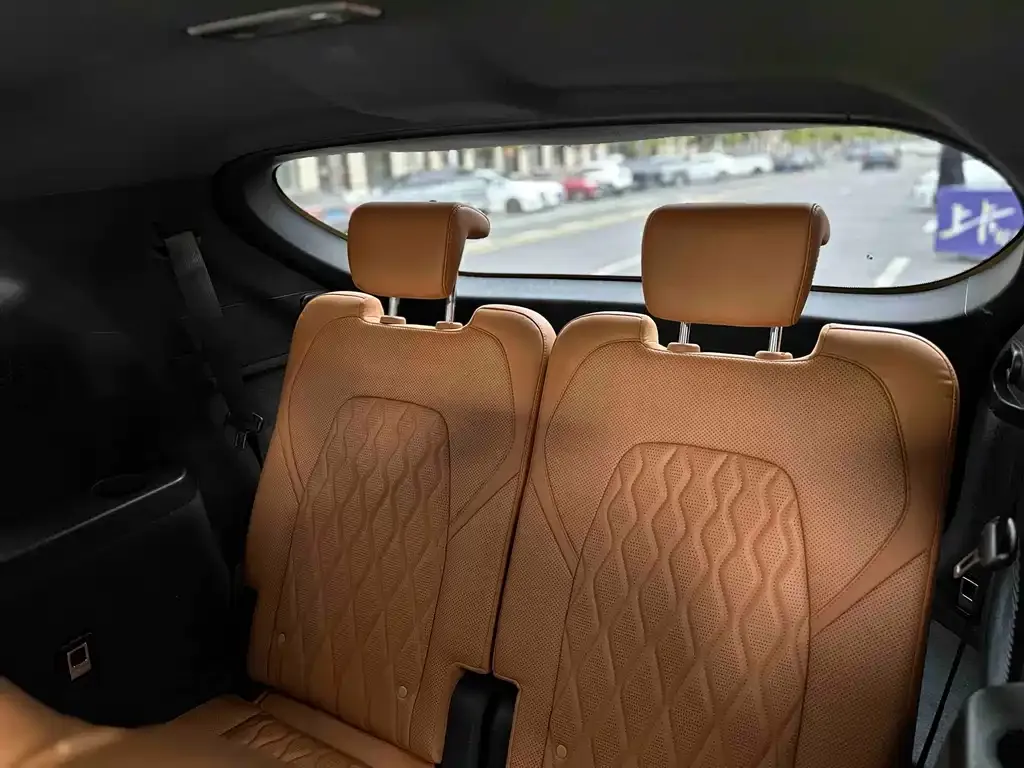 BYD Tang New Energy 2024 из CN, фото 6